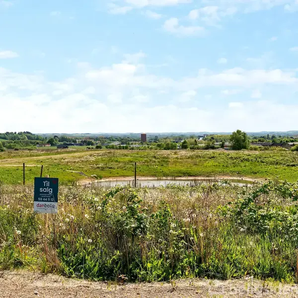 En til salg-skilt står i en vild blomstereng foran en markeret byggegrund med udsigt over et åbent landskab. På skiltet står der "Til salg" og "danbolig".