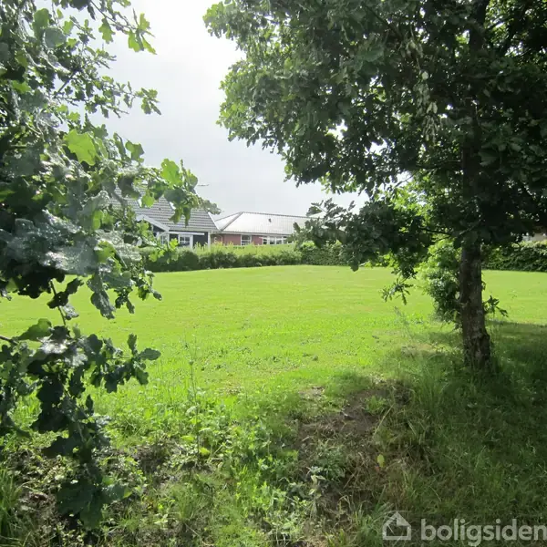 Grønt græsareal omgivet af træer, mod en baggrund af boligbygninger. Sollys filtrerer gennem bladene, og skaber et fredeligt, naturligt miljø. Ingen tekst til stede.