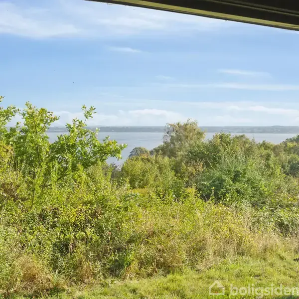 Et vindue med udsigt over en frodig have med buske, der strækker sig ud mod en sø i horisonten under en klar blå himmel.