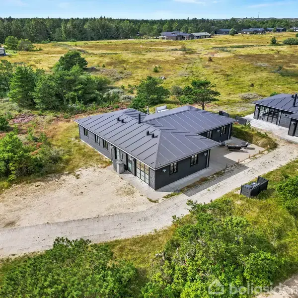 Et moderne, sort træhus står stille i et åbent, grønt landskab med spredte træer og buske. Et andet hus er synligt i nærheden.