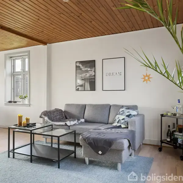 Grå sofa stillet op mod hvid væg i moderne stue, dekoreret med billeder og teksten "Dream". Sort sofabord foran sofaen. Træloft, lyse trægulve og en stor plante i nærheden.