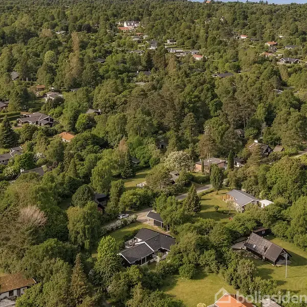 Luftfoto viser et kuperet skovområde med spredte huse og veje omgivet af tætte træer.