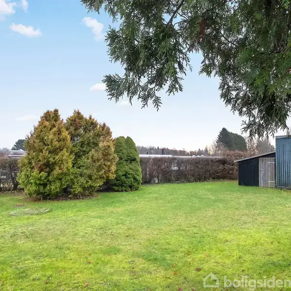 En grøn græsplæne med buske og træer ligger ved siden af en blå bygning i haven. Baggrunden viser et hegn og et åbent himmelrum.