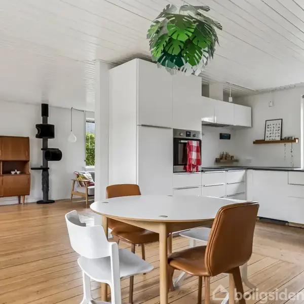 Rundt spisebord med forskellige stole står i et lyst, moderne køkken med hvide skabe. Træskab og komfur ses i baggrunden. Grønne planter hænger fra loftet, og vinduer viser ud til en have.