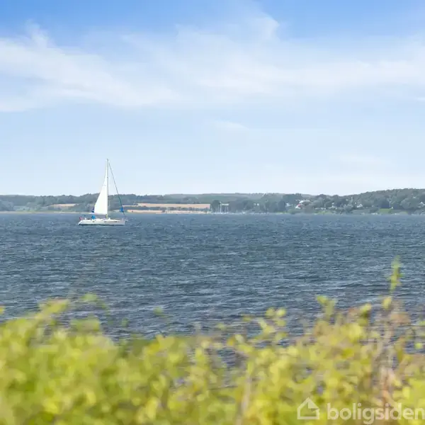 Sejlbåd navigerer stille på en bred, blå vandstrækning med frodig, grøn vegetation i forgrunden og en skovklædt kystlinje i baggrunden under en klar himmel.