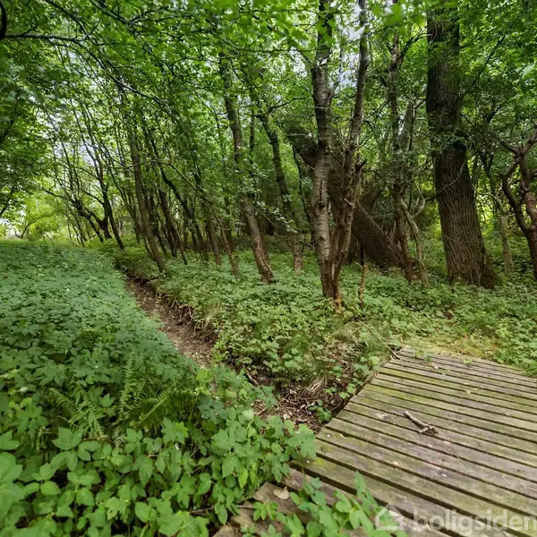 En træbro fører over en smal grøft omgivet af tæt skovbevoksning. Græs og lave planter dækker skovbunden, mens høje træer strækker sig op mod den lysegrønne baldakin.