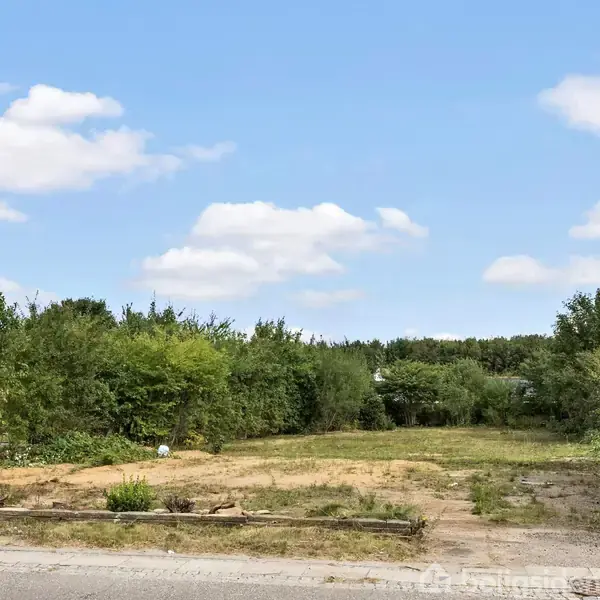 Åben grund med vildtvoksende græs og buske, omgivet af træer. Himmel med spredte skyer i baggrunden giver et idyllisk landskabsindtryk. Ingen tekst i billedet.