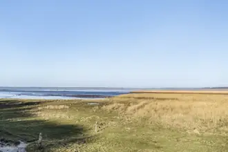 Landejendom på Myrtuevej 19, 6710 Esbjerg V