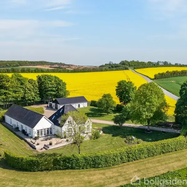 Et hvidt hus med sort tag ligger mellem grønne marker og tætklippede hække. I baggrunden ses en stor gul rapsmark under en klar blå himmel.
