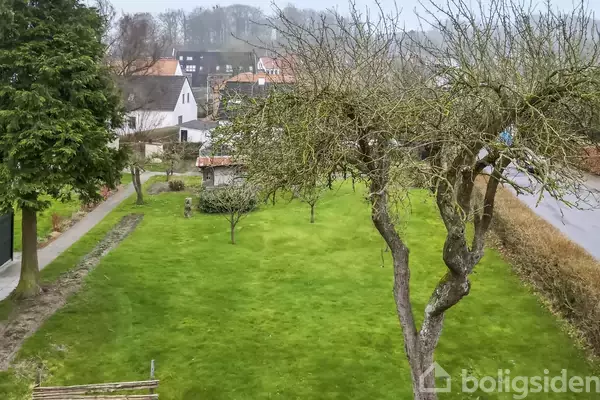 En nøgen træstamme står på en grøn græsplæne omgivet af små træer. I baggrunden ses huse og en vej under en overskyet himmel.