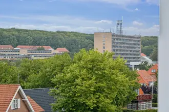 Ejerlejlighed på Snerlevej 9, 3. tv., 9000 Aalborg