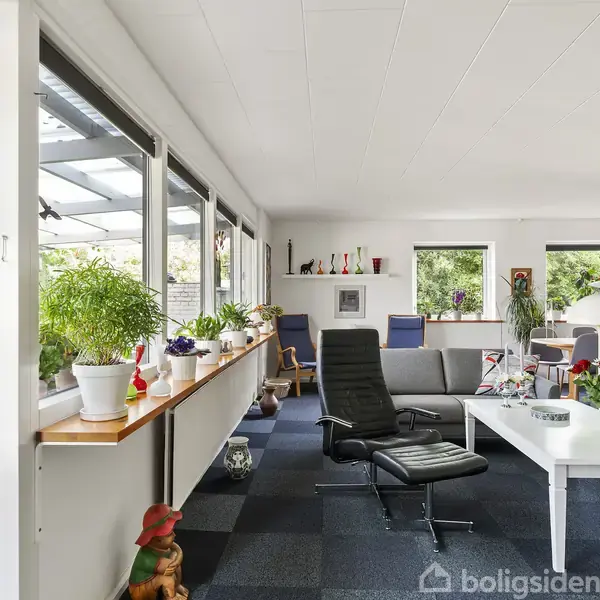 Stue med grå sofaer og sort lænestol omkring et hvidt sofabord. Store vinduer lader lys ind. Planter på vindueskarmen og borde skaber en grøn, indbydende stemning.