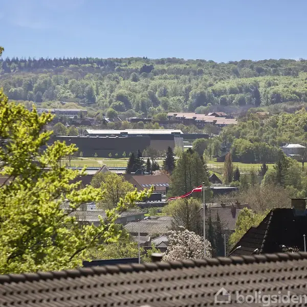 Grønne bakker i baggrunden omgiver en by med spredte huse og træer. En flagstang med dansk flag står centralt i billedet under en klar blå himmel.