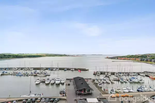 Både ligger til kaj i en marina, stille opholdende, med åbent vand og skovklædte kyster i baggrunden under en blå himmel.