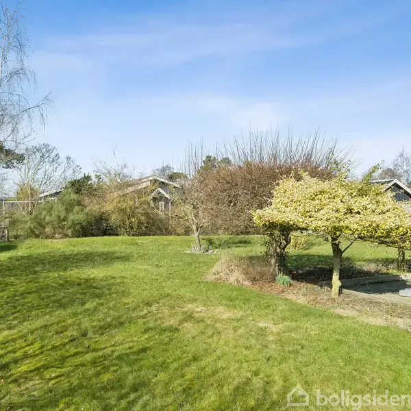 Græsplæne breder sig i en have med forskellige buske og træer, mens en lille bygning står til højre under en klar blå himmel med let skyer.