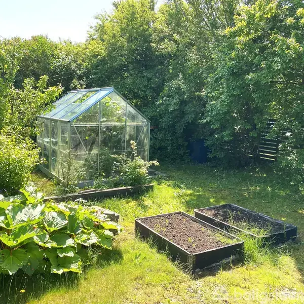 Et drivhus står i en have omgivet af tætte grønne buske og træer. Foran drivhuset er der flere højbede med jord i, klar til plantning. Græsplænen er solbeskinnet.