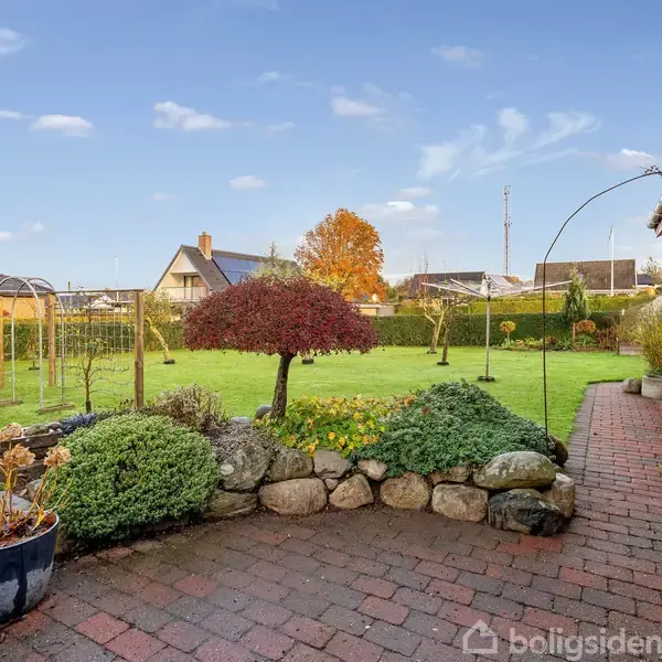 En velplejet have med en lille dekorativ busk står stille. Stenbelagt terrasse i forgrunden, omkranset af blomsterkrukker, med et hus til højre og græsplæne i baggrunden.