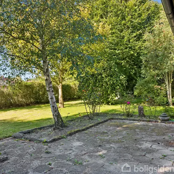 En terrasse med fliser grænser op til en frodig have. Et stort træ kaster skygge over terrassen. Huset ses til højre, mens haven fortsætter i baggrunden.