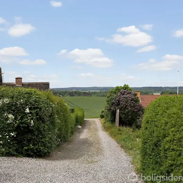 Grusvej løber gennem frodig grøn hæk i et landligt boligområde. Huse i baggrunden med røde tage ses under en blå himmel med spredte skyer.