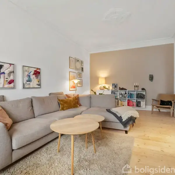 En beige sofa står i en stue med et tæppe under, omgivet af kunst, reoler og en gulvlampe. Væggene er lyse, og gulvet er af træ.