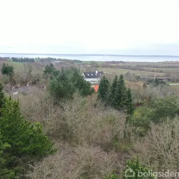 Træer danner en tæt skov i en landlig område, med spredte huse i baggrunden og en fjern udsigt over en sø eller fjord. Tekst: "boligsiden".