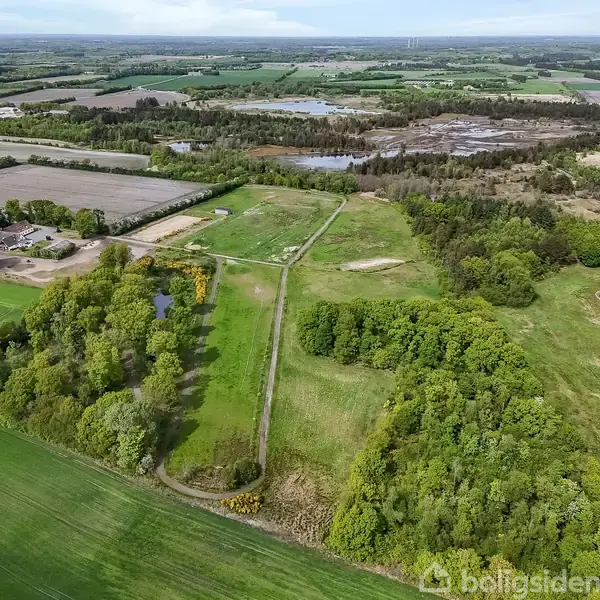En stor grøn mark med spredte træer omgiver en smal vej, der løber gennem landskabet. Omkringliggende skove og søer giver en naturskøn baggrund i det åbne landskab.