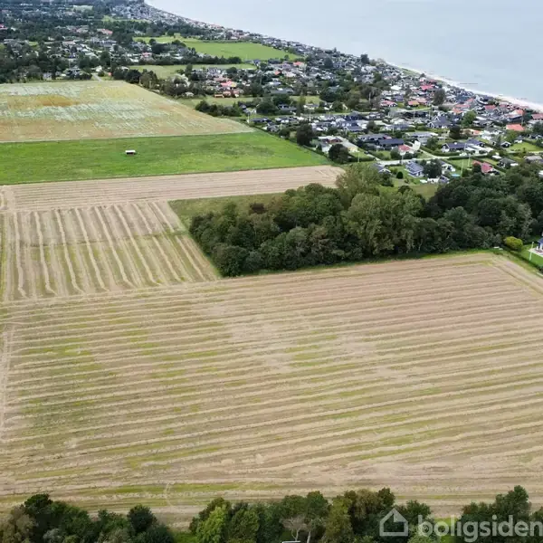En mark med skårne striber ligger nær en vej og grænser op til et boligområde ved vandet, omgivet af træer og huse langs kystlinjen.