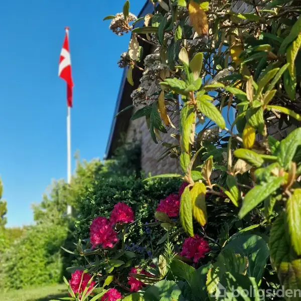 En rød og hvid flagstang står i haven omgivet af grønne buske og blomstrende planter. Himlen er klar og blå.