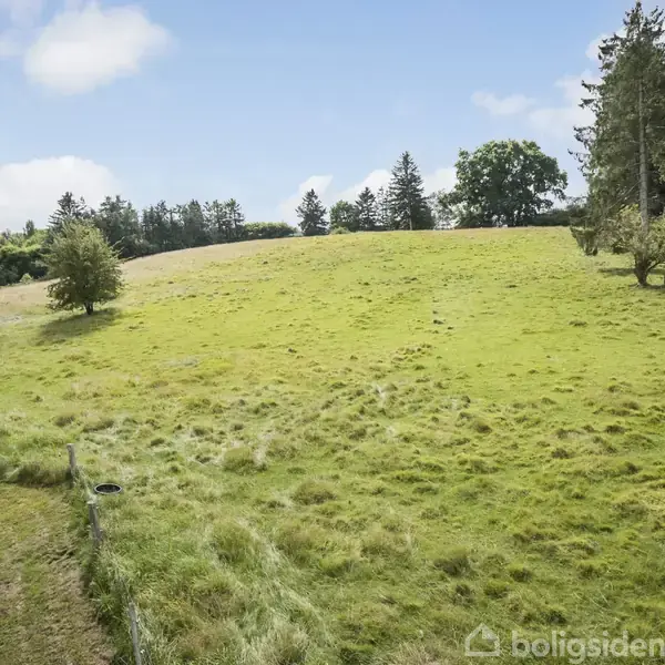 Græsmark strækker sig op ad en bakke, omgivet af spredte træer og en blå skyfri himmel, hvilket antyder en rolig, landlig beliggenhed.