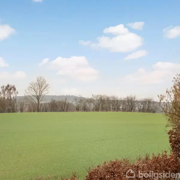Grønt græsareal strækker sig under en blå himmel med lette skyer, omgivet af spredte træer i baggrunden og en brun busk til højre. Ingen tekst er til stede.