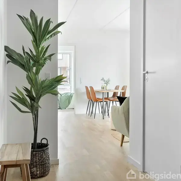 Plante i kurv står ved en træbænk i en gang. I baggrunden ses en lys stue med spisebord, stole og en vase med blomster.