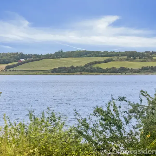 En sø ligger stille omgivet af grønne bakker og marker ved horisonten, med træer og buske i forgrunden under en blå himmel med skyer.