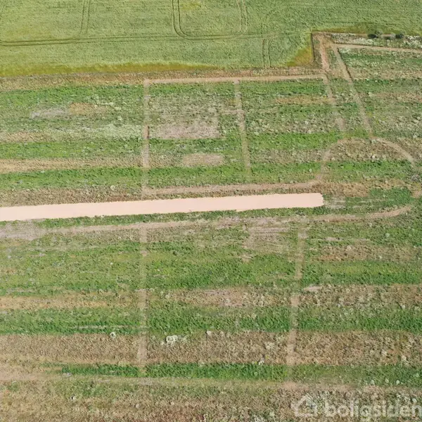 Græsmark med tydelige jordstier; stierne danner geometriske mønstre, omgivet af dyrkede marker, hvilket indikerer en landbrugsregion.