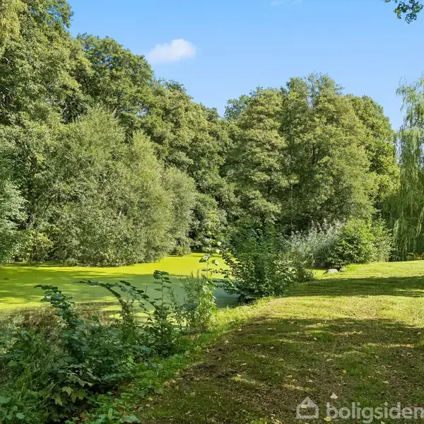 En grøn park med en lille sø dækket af andemad. Træer omgiver området, og en sti løber langs søen med en bænk til højre.