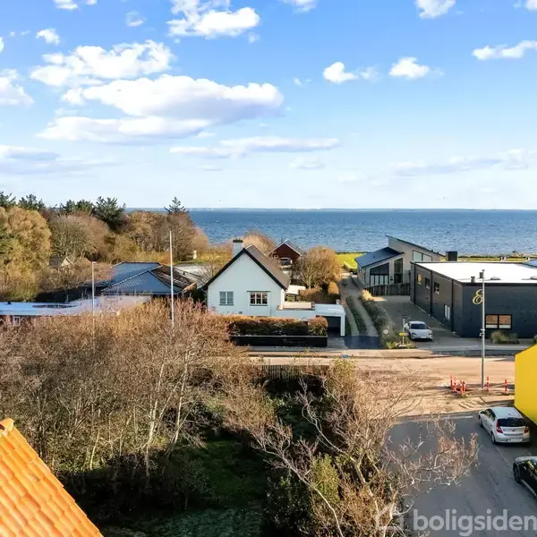 Husene står stille langs en vej nær kysten, omgivet af træer. I baggrunden ses havet under en klar, blå himmel.