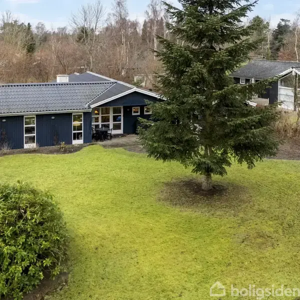 Et blågråt hus står i en have omgivet af græsplæne og træer. En stor gran dominerer midt på plænen, og der er grøn beplantning tæt ved huset.