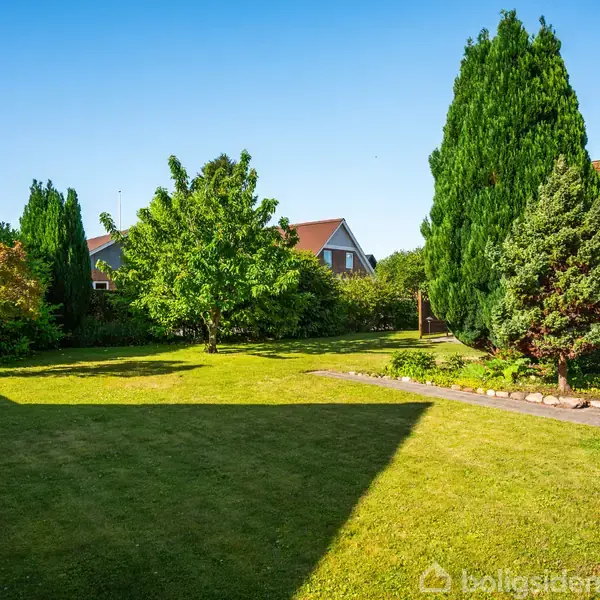 Græsplæne med skygger danner et roligt område, omgivet af grønne buske og træer; et hus med skråtag står til højre under en klar blå himmel.