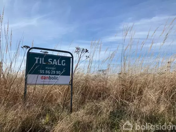 Et "Til salg"-skilt står i højt græs under en blå himmel. Teksten på skiltet lyder: "TIL SALG Måløvvej Tlf. 55 86 29 90 danbolig".