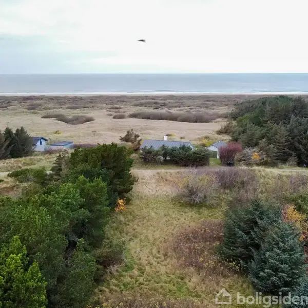 Huse ligger spredt i et grønt landskab med buske og træer, tæt på en strandlinje. Det er overskyet, og en fugl flyver i himlen.