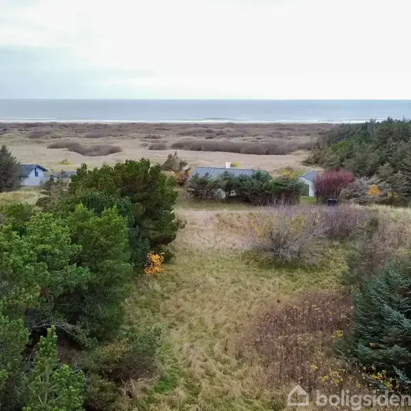 Et landskab viser en eng med græs og spredte træer, der strækker sig mod havet i horisonten. Huse gemmer sig blandt vegetationen, omgivet af en skov i baggrunden.