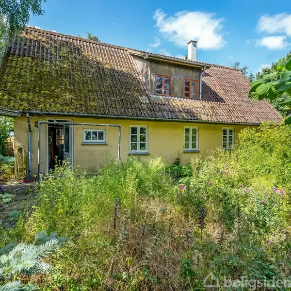 Et gammelt hus står forladt. Vegetationen har overtaget omgivelserne, og tyk bevoksning dækker forhaven. En blå himmel ses i baggrunden, og huset virker ubeboet.