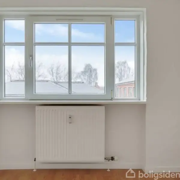 Et vindue med hvide rammer viser sneklædte træer udenfor. En radiator er placeret under vinduet. Rummet har hvidmalede vægge og trægulv.