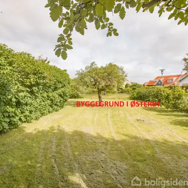 Grøn byggegrund omgivet af buske og træer i åbent område. I baggrunden ses et rødt hus. Tekst: "BYGGEGRUND I ØSTERBY".