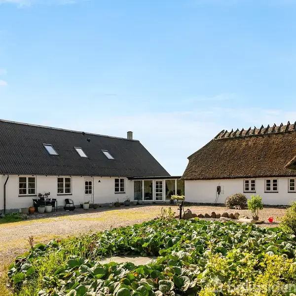 To huse med skrå tage, omgivet af have og gårdsplads. Et hus har traditionelle stråtag, det andet moderne skråvinduer. Solrig dag med blå himmel.