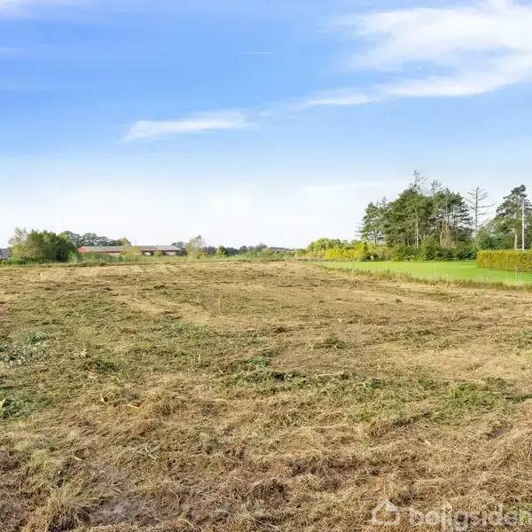 En stor, tilgroet mark strækker sig ud i et åbent landskab. Træer og bygninger ses i baggrunden under en klar blå himmel.