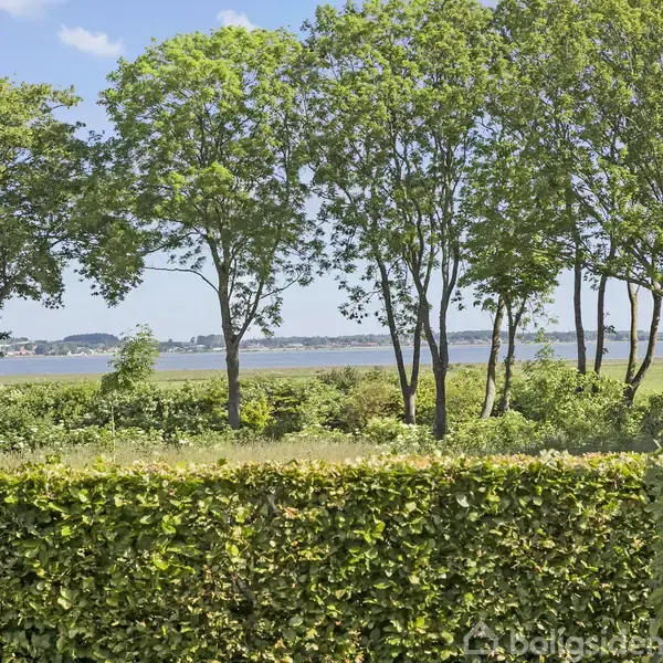 Hække står stille i forgrunden, mens træer strækker sig mod en klar blå himmel ved en kystlinje. Baggrunden viser et åbent vand og en skovklædt kyst.