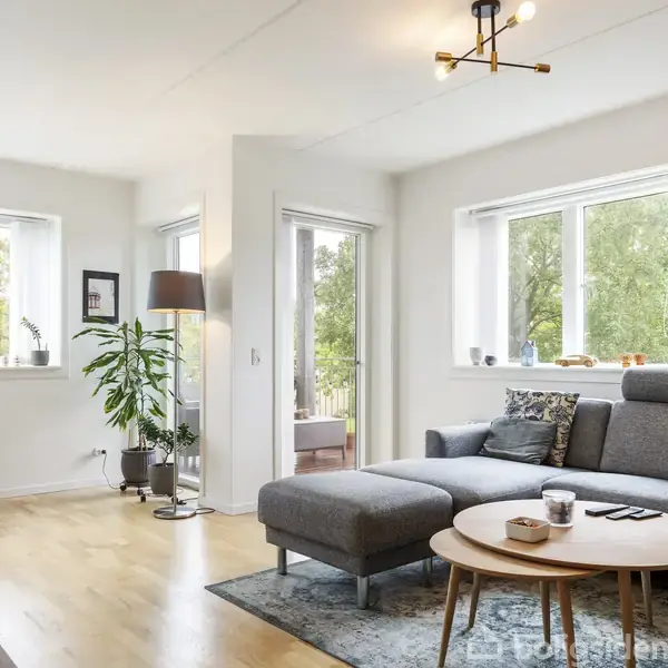 Grå sofa med puder står i en lys stue, der har trægulv. Til venstre står en lampe og plante. Store vinduer slipper naturen udenfor ind. Ingen tekst til stede.