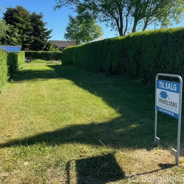 Græsplæne omkranset af høje, grønne hække. Et skilt med teksten "TIL SALG" nær venstre side. Sollys skaber skygger på plænen, omgivet af træer og blå himmel.