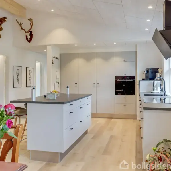 En moderne køkkenø med hvide skuffer står centralt. Køkkenapparater er indbyggede i skabene. Blomster i en vase pynter et bord. Væggene prydes af gevirer og billeder.