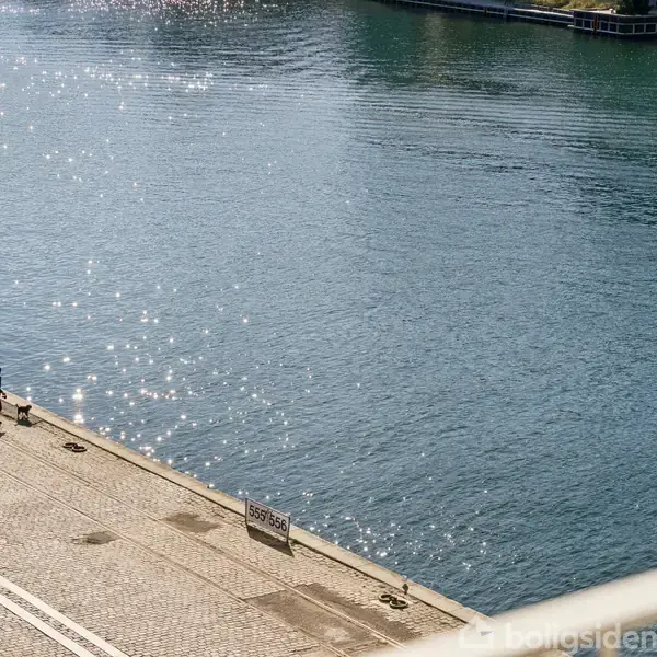En person går med en hund på en solbeskinnet promenade langs en flod eller kanal. Glitrende refleksioner ses i vandet. Et skilt med teksten "HUSK POSEN" står langs kanten.